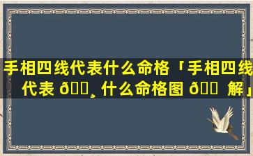 手相四线代表什么命格「手相四线代表 🕸 什么命格图 🐠 解」